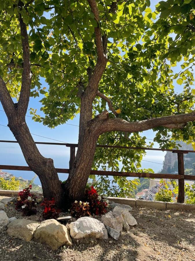 La Villa Di Enzo Casa Vacanze Con Vista Mare Amalfi Extérieur photo